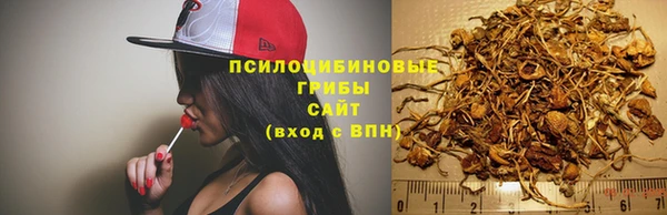 трава Абинск