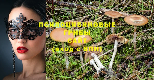 спиды Абаза