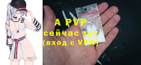 спиды Абаза