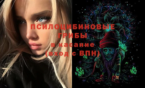 спиды Абаза