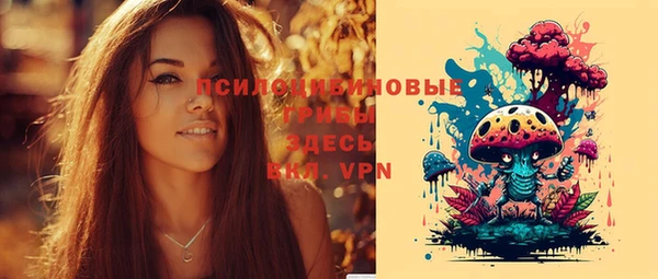спиды Абаза