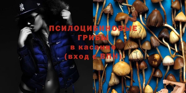 спиды Абаза