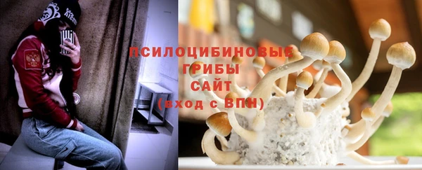 спиды Абаза